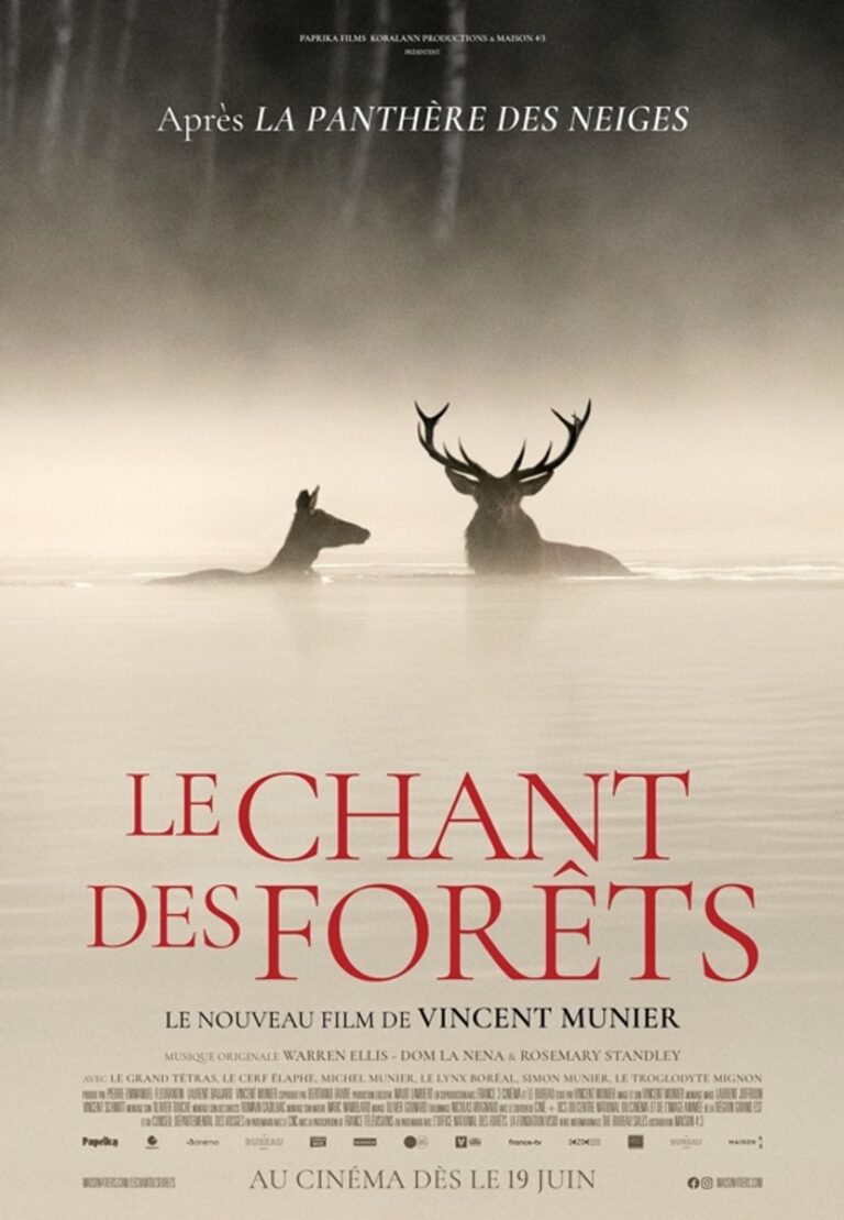 LE CHANT DES FORÊTS